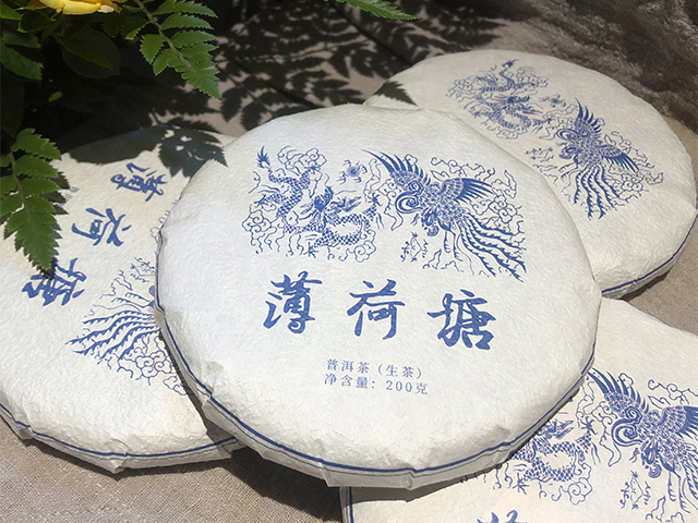 走进小众名山茶的世界（易武篇）：野象林、薄荷塘…喝的是山野秘境