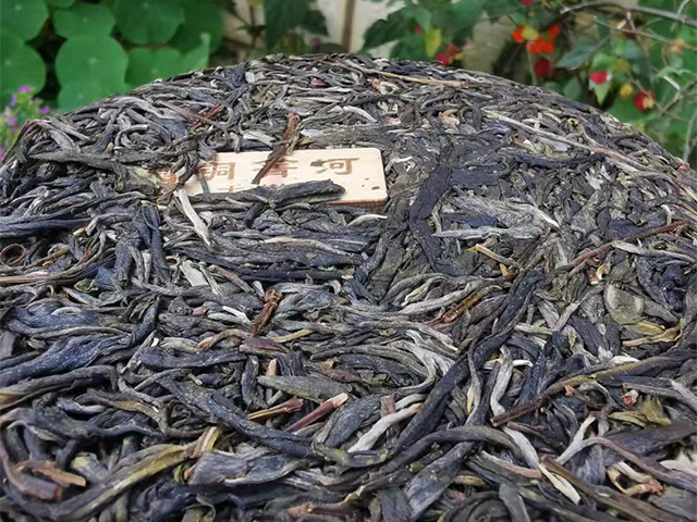 龑王牌压轴珍藏：蓝版铜箐河小饼，易武森林深处的至臻之味