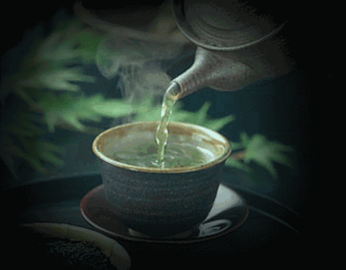 什么是绿茶？绿茶是未经发酵制成的茶