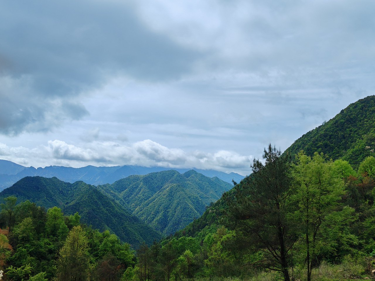 杭为茶都·清凉峰高山共富茶分享会在中国茶叶博物馆举办