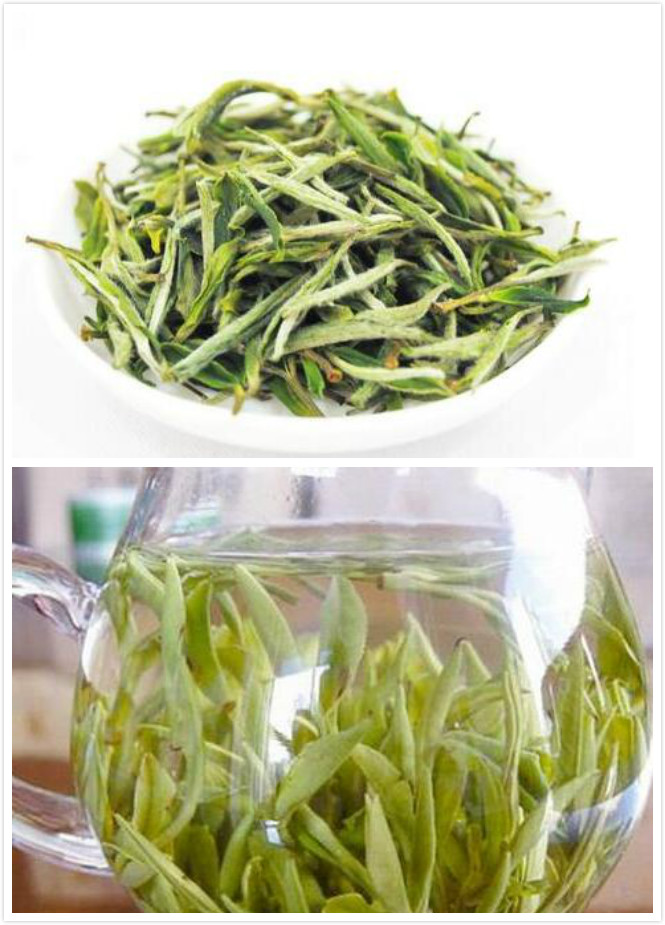 黄山毛峰属于什么茶？茶侃网为你分析