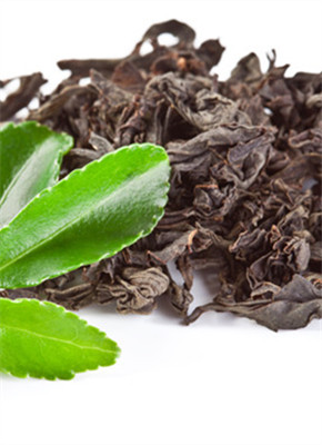 茶侃君带来五种分辨正宗的古树红茶的方法