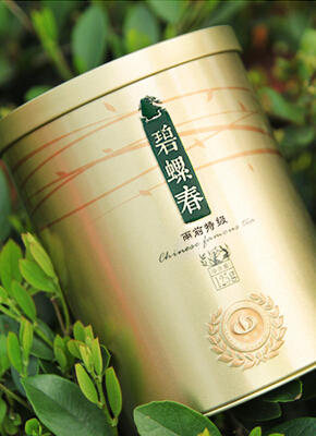 洞庭碧螺春多少钱？分享洞庭碧螺春价格详情