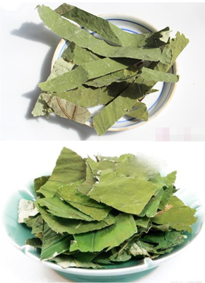 喝茶要注意：不适合喝荷叶茶的人群