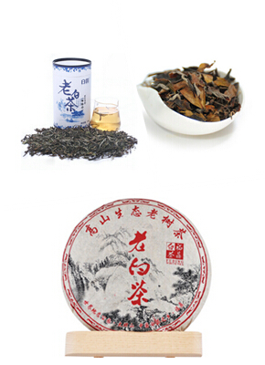 国际茶日茶香四溢 津门名师知悟古今，荣程知悟馆掠影