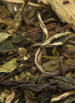 浅谈寿眉茶的等级，你未必知道