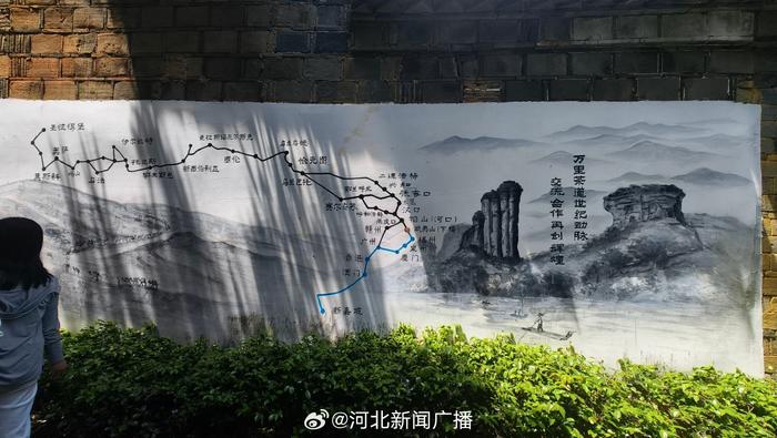 茶叶蛋突破传统水煮蛋局限，营养升级与文化符号双重魅力闪耀